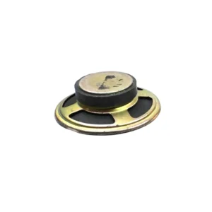 Project - Speaker 8 Ohm 0.5W 55mm