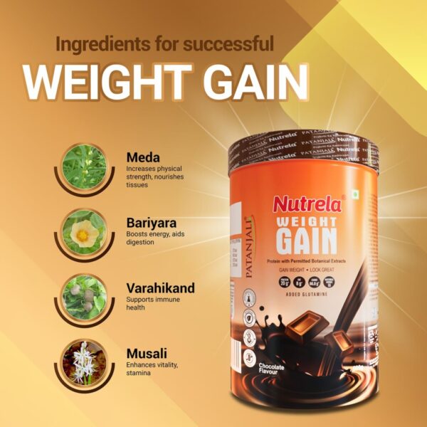 Patanjali Nutrela Weight Gain - Chocolate Flavor - 500g (Pack of 1) - Image 5