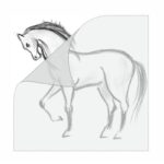 A4 Size Artist’s Tracing Paper, 1 pc (Butter Paper) - Image 3