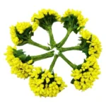 Artificial Pollen Flowers – Multicolour Decorative Stamens for DIY Craft, Bouquets and Floral Arrangements - Image 18