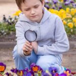Magnifying Glass – Clear, Precise Magnification for Detailed Viewing (Pack of 1) - Image 4