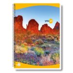 Navneet Youva Notebook - A4 Spiral Bound, Single Line, 1 pc