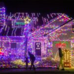 Party Decoration – Single-Color String Series LED Rice Lights - Elegant Lighting for Every Occasion (Pack of 1) - Image 3