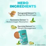 Patanjali Nutrela Diabetic Care - 400g (Pack of 1) - Image 4