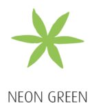 Pidilite Fevicryl Acrylic Colours – 15ml, Vibrant, Long-Lasting Colours for Artistic and Craft Creations (Pack of 1) - Image 37