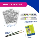 Pidilite Fevicryl DIY Art of India Kalamkari Art Kit – Traditional Hand-Painted Art Experience (Pack of 1) - Image 5