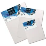 Pidilite Fevicryl Fine Art – Canvas Board (Pack of 1)