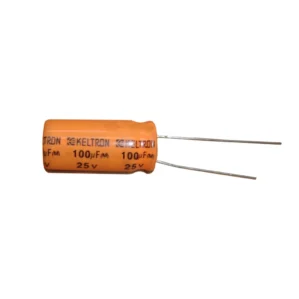 Project - 100uF 25V Radial Electrolytic Capacitor