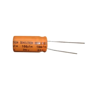 Project - 100uF 25V Radial Electrolytic Capacitor
