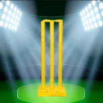PVC Cricket Wicket Stumps – Heavy, Durable and Perfect for Every Game (Multicolor, Pack of 1) - Image 3