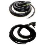 Realistic Rubber Snake – Fun Prank Toy or Garden Deterrent (Pack of 1)