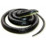 Realistic Rubber Snake – Fun Prank Toy or Garden Deterrent (Pack of 1) - Image 7