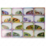 School Notebook Labels – 16 Self-Adhesive Stickers for Books & Stationery | Writable Name Labels for Kids, Students, School Use, Multicolour Designs - Image 11