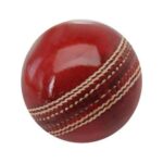 Sports Cricket Season Leather Ball | Premium Quality for Match & Practice (Pack of 1)