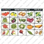Spectrum Educational Picture Chart – A Fun & Engaging Learning Tool for Kids (Pack of 1) - Image 6